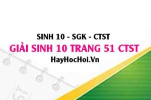 Giải Sinh 10 trang 51 Chân trời sáng tạo SGK